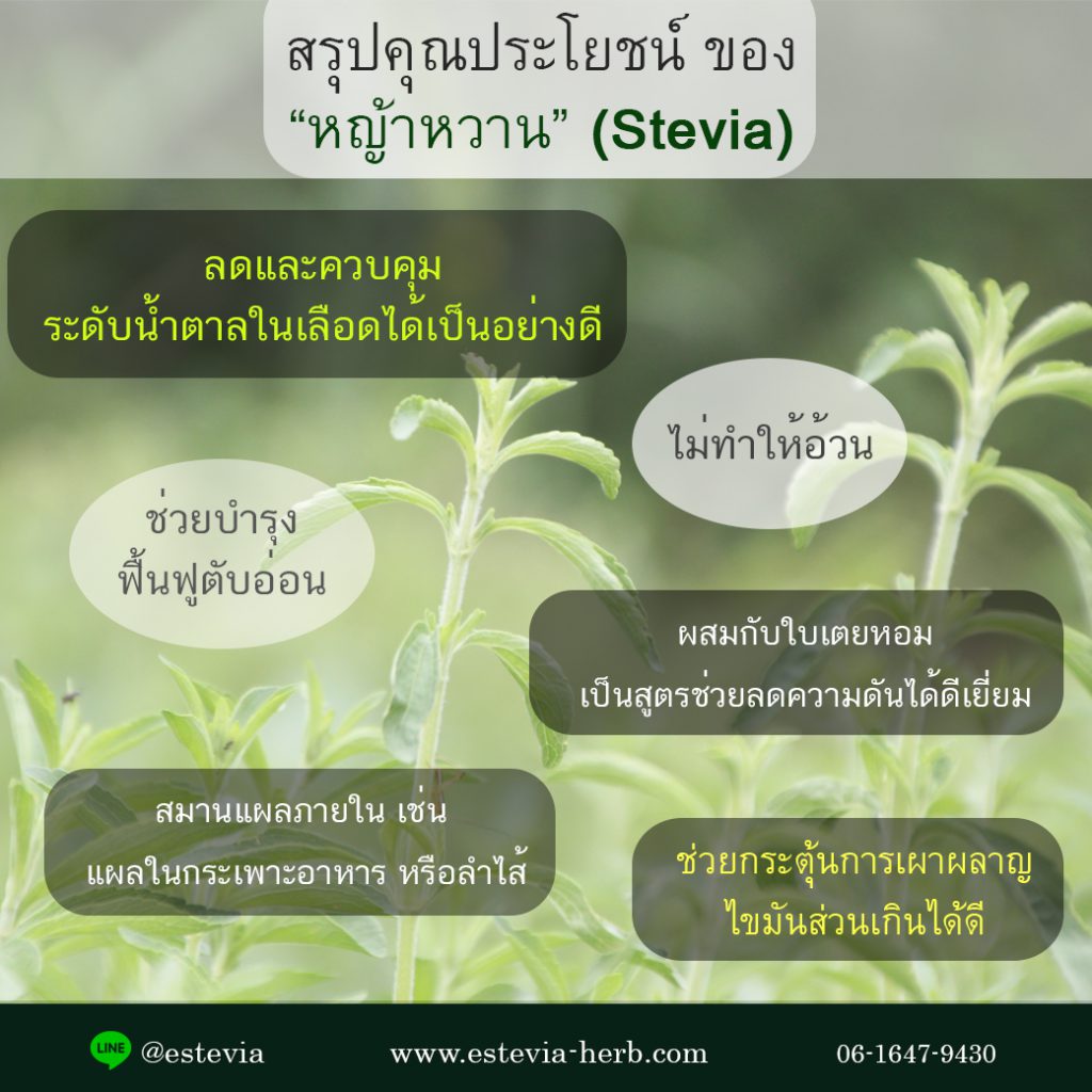 ประโยชน์ หญ้าหวาน