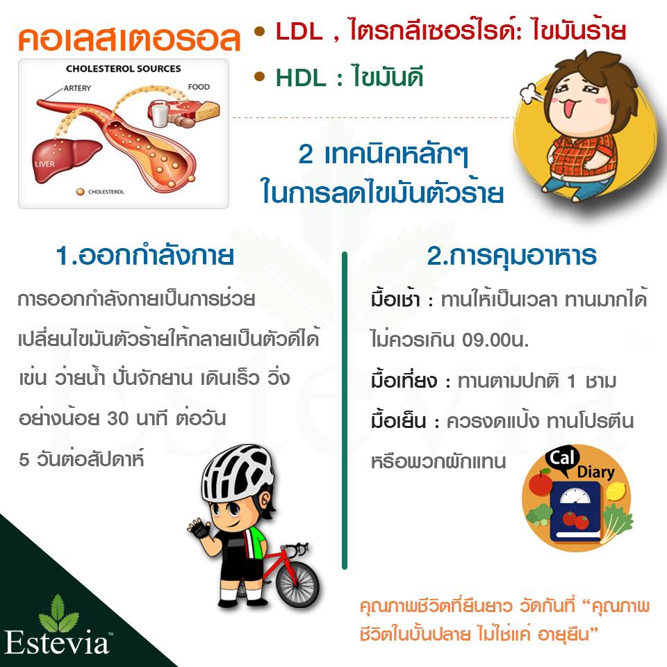 กำจัดไขมันเลว Estevia