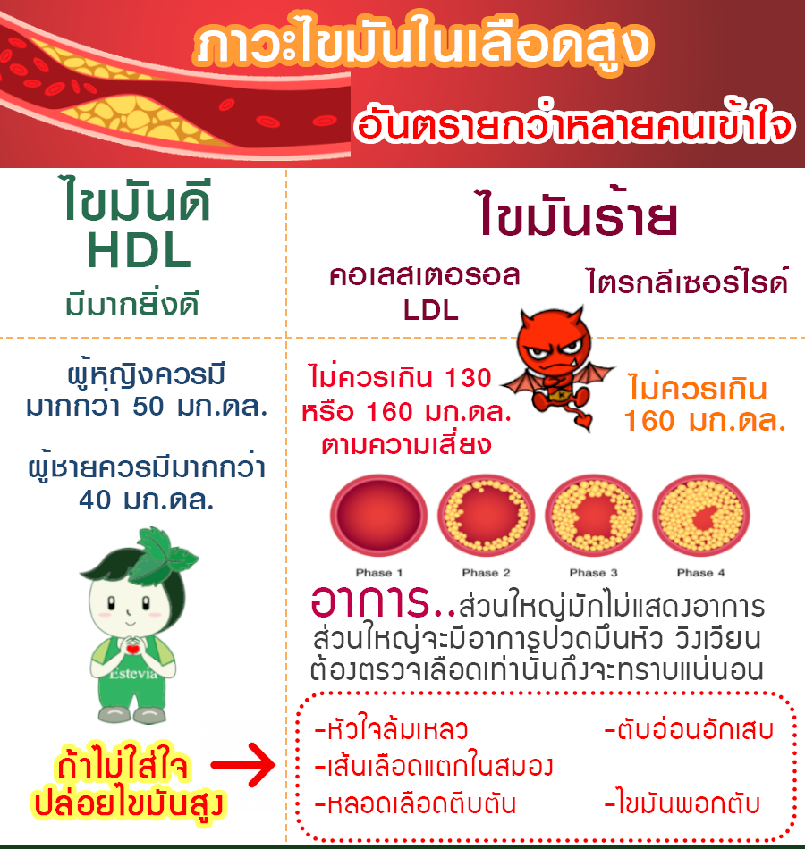 อาการไขมันในเลือดสูง Estevia