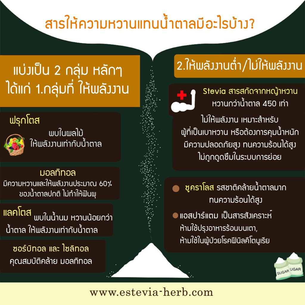 สารให้ความหวานแทนน้ำตาล Estevia info Graphic